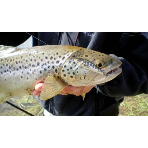 Rapala Leurres durs COUNTDOWN - coloris BTR - 5cm / 5g - profondeur de nage de 0.90 à 1.50m - 3