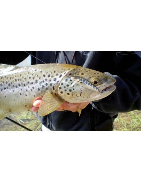 Rapala Leurres durs COUNTDOWN - coloris RT - 11cm / 16g - profondeur de nage de 2.70 à 3.90m - 3
