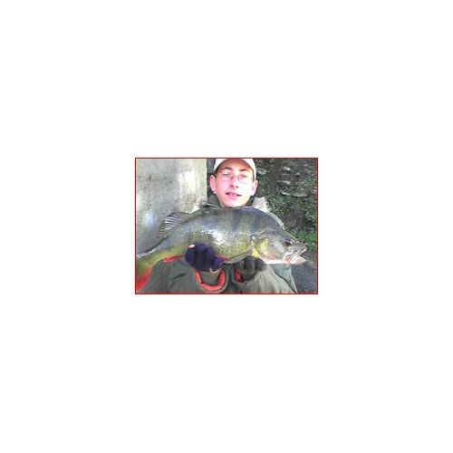 Rapala Leurres durs  X-RAP - coloris S -  6cm / 4g - profondeur de nage de 0.90 à 1.50m - 3