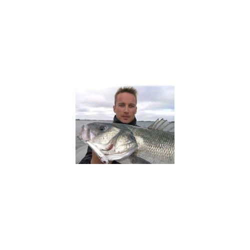 Rapala Leurres durs X-RAP SUBWALK  - coloris FT - 15cm / 58g - profondeur de nage de 0.30 à 1.20m - 3