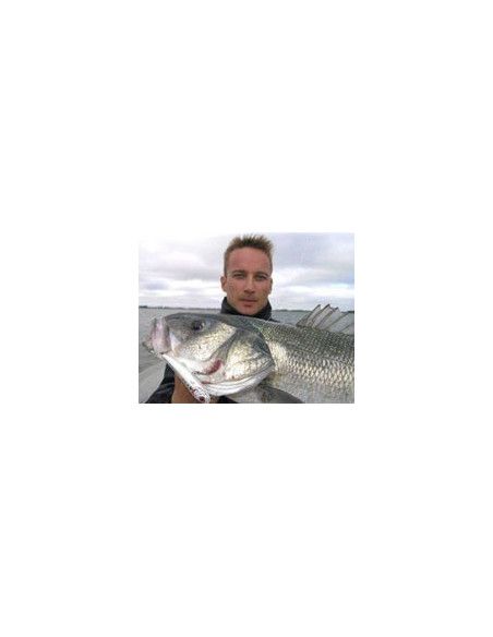 Rapala Leurres durs X-RAP SUBWALK  - coloris FT - 15cm / 58g - profondeur de nage de 0.30 à 1.20m - 3
