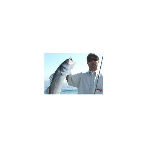 Rapala Leurres durs  X-RAP SALTWATER  - coloris GGH -  10cm / 13g - profondeur de nage de 1.20 à 1.80m - 3