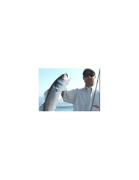 Rapala Leurres durs  X-RAP SALTWATER  - coloris GGH -  10cm / 13g - profondeur de nage de 1.20 à 1.80m - 3