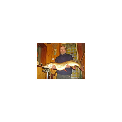 Rapala Leurres durs  MINI FAT RAP - coloris TR - 3cm / 4g - profondeur de nage de 0.90 à 1.80m - 4