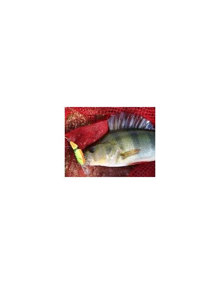 Rapala Leurre plongeant JOINTED SHAD RAP - coloris P - 5cm / 8g - profondeur de nage de 1.80 à 3.90m - 4
