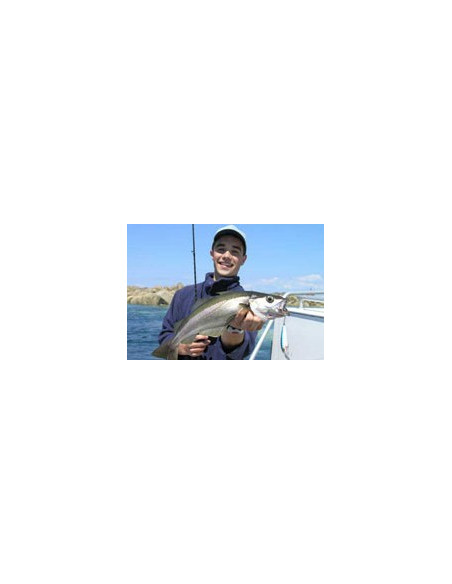 Rapala Leurres durs  HUSKY JERK - coloris GMN -  10cm / 10g - profondeur de nage de 1.20 à 2.40m - 3