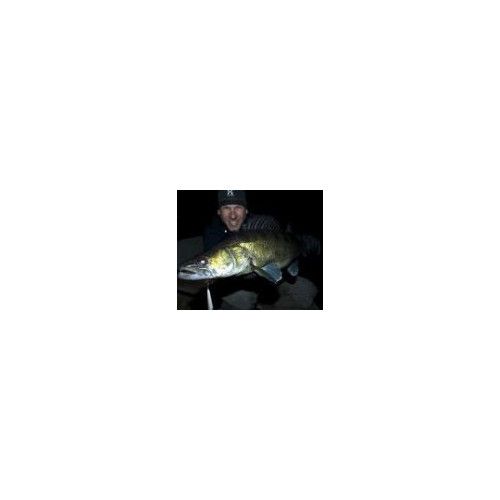 Rapala DOWN DEEP HUSKY JERK 12 SB - 3