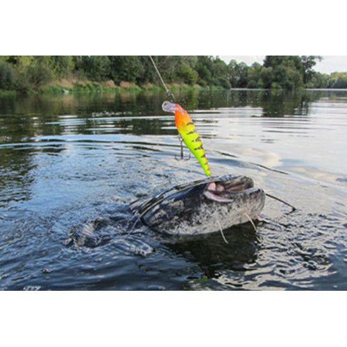 Rapala Leurres durs  SUPER SHAD RAP - coloris GF - 14cm / 45g - profondeur de nage de 1.50 à 2.70m - 3