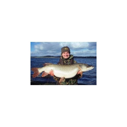Rapala Leurres durs  COUNTDOWN MAGNUM  - coloris FT -  7cm / 12g - profondeur de nage de 2.70 à 3.30m - 3