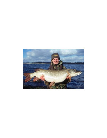 Rapala Leurres durs  COUNTDOWN MAGNUM  - coloris SM -  14cm / 36g - profondeur de nage de 4.50 à 5.40m - 3