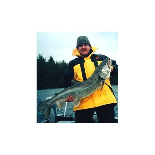 Rapala Leurres durs FLOATING MAGNUM  - coloris FT -  18cm / 40g - profondeur de nage de 2.70 à 3.30m - 4