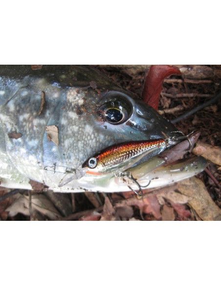 Rapala Leurres durs  ULTRA LIGHT MINNOW - Coloris SD - 4cm / 3g - profondeur de nage de 0.60 à 0.90m - 3