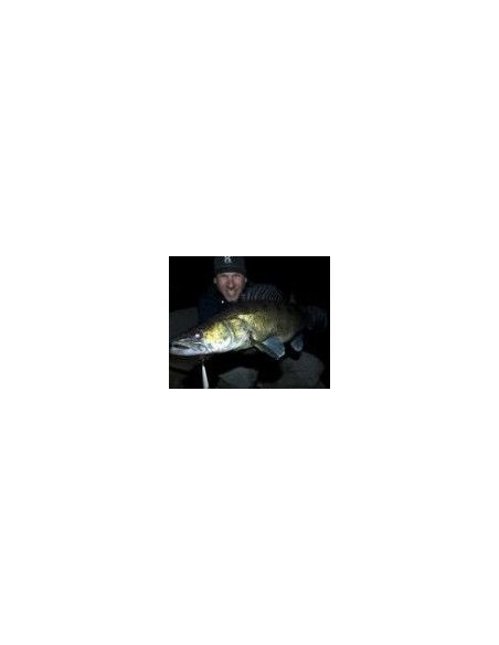 Rapala Leurres durs DOWN DEEP HUSKY JERK - coloris FT -  10cm / 11g - profondeur de nage de 2.10 à 4.80m - 3