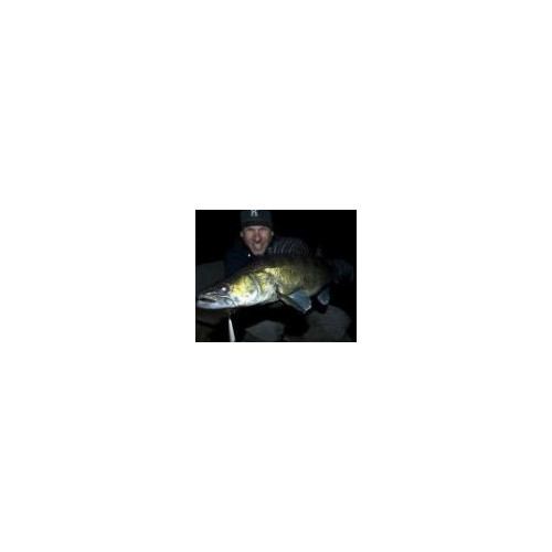 Rapala Leurres durs DOWN DEEP HUSKY JERK - coloris S - 10cm / 11g - profondeur de nage de 2.10 à 4.80m - 3