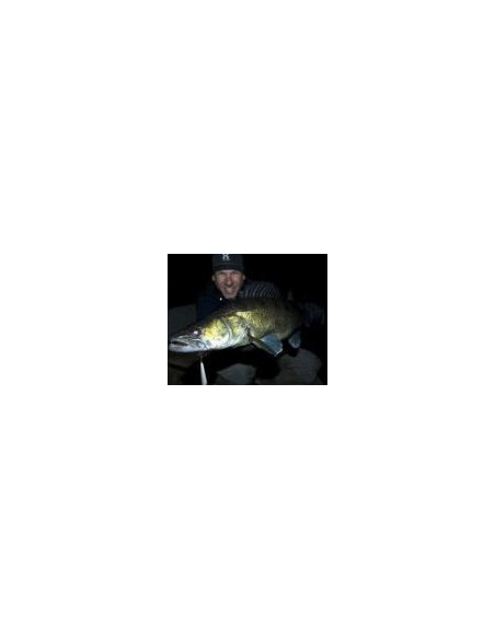 Rapala Leurres durs DOWN DEEP HUSKY JERK - coloris S - 10cm / 11g - profondeur de nage de 2.10 à 4.80m - 3
