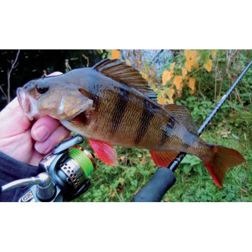 Rapala Leurres durs ORIGINAL FLOATER - coloris OTU - 9cm / 5g - profondeur de nage de 0.90 à 1.50m - 4