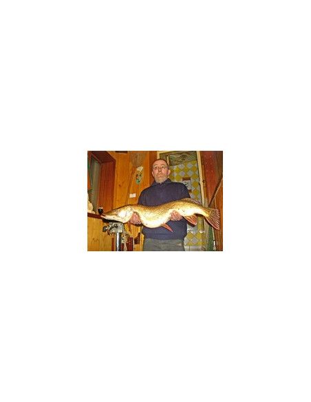 Rapala Leurres durs  MINI FAT RAP - coloris FT - 3cm / 4g - profondeur de nage de 0.90 à 1.80m - 4