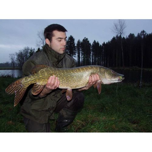 Storm Leurres durs THUNDERSTICK MADFLASH DEEP - coloris 653 - 11cm / 18g - profondeur de nage : de 3.60 à 5.80m - 4