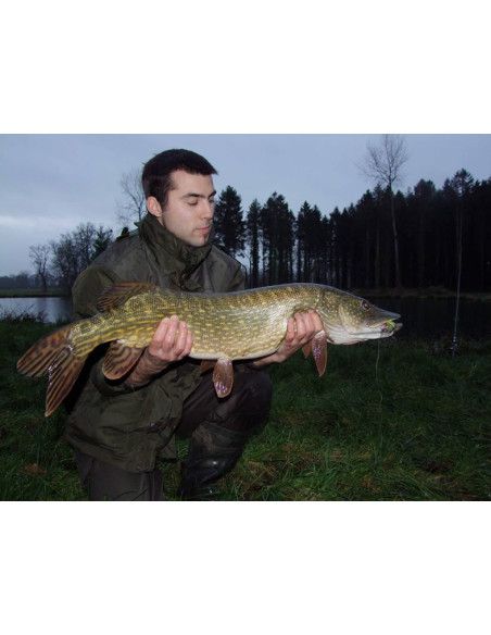 Storm Leurres durs THUNDERSTICK MADFLASH DEEP - coloris 653 - 11cm / 18g - profondeur de nage : de 3.60 à 5.80m - 4