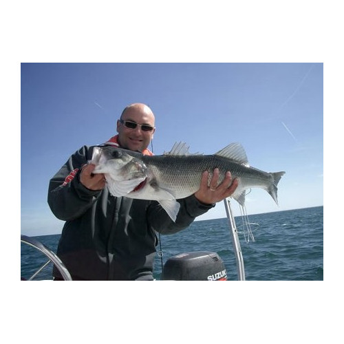 Storm Leurre souple PRO SLUG - Coloris MO - 15cm - Poids variable - profondeur de nage : Variable - Sachet de 7 piÃ©ces - 4