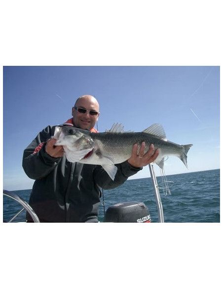 Storm Leurre souple PRO SLUG - Coloris MO - 19cm - Poids variable - profondeur de nage : Variable - Sachet de 6 piÃ©ces - 4