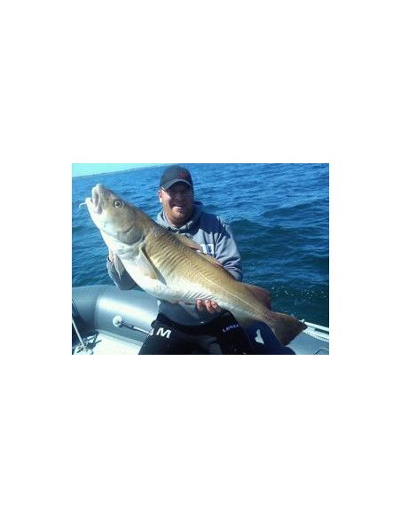 Storm Leurre souple ULTRA EEL - Coloris DBS- 25cm / 50g - profondeur de nage : Variable - 1 montÃ© +1 non montÃ© - 3
