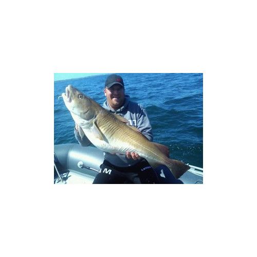 Storm Leurre souple ULTRA EEL - Coloris DGS- 25cm / 50g - profondeur de nage : Variable - 1 montÃ© +1 non montÃ© - 4
