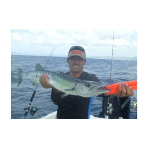 Storm Leurre souple ULTRA SHAD - Coloris OLPRL - 17cm / 80g - profondeur de nage : Variable - 1 montÃ© +1 non montÃ© - 4