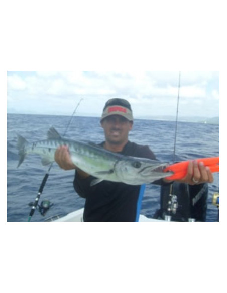 Storm Leurre souple ULTRA SHAD - Coloris OLPRL - 17cm / 80g - profondeur de nage : Variable - 1 montÃ© +1 non montÃ© - 4