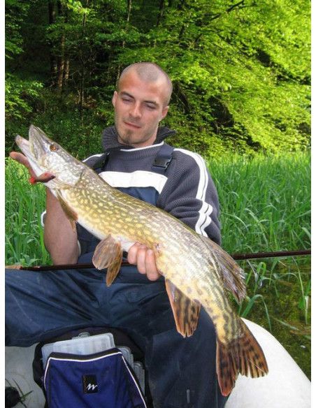 Storm Leurre souple ULTRA SHAD LIGHT - Coloris P - 12cm / 18g - profondeur de nage : Variable - 1 montÃ© +1 non montÃ© - 4