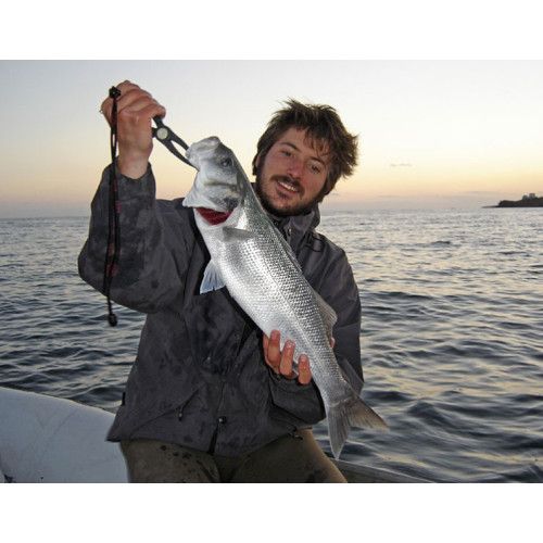 Storm Tête plombée SHAD JIG HEAD ARTICULE - Coloris HG - 150g - 2 pièces par sachet - 4
