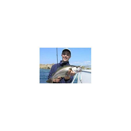 Rapala Leurres durs  HUSKY JERK - coloris CLN -  12cm / 13g - profondeur de nage de 1.20 à 2.40m - 3