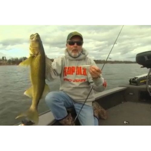 Rapala Leurres durs SCATTER RAP MINNOW - coloris AYU - 11cm / 6g - profondeur de nage de 1.80 à 2.70m - 4