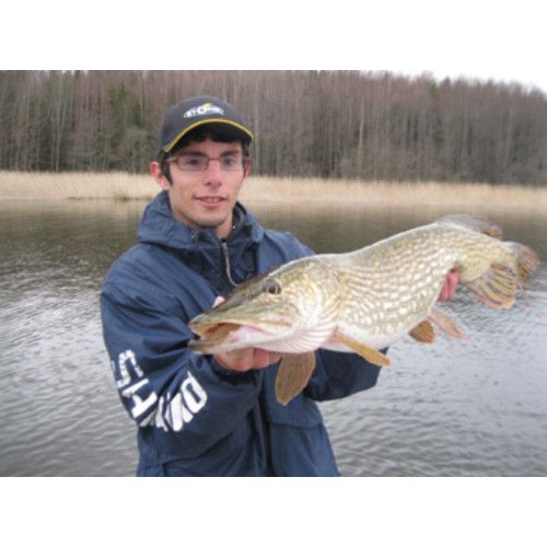 Rapala Leurres durs BX WAKING MINNOW - coloris GSH - 13cm / 22g - profondeur de nage : Surface - 3