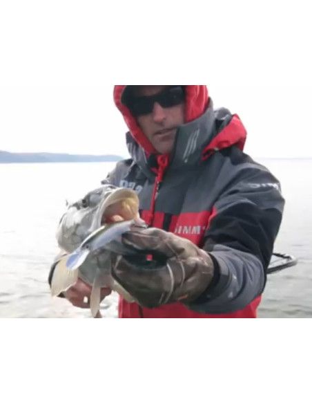 Rapala Leurres durs SHADOW RAP DEEP - coloris CLN - 11cm / 13g - profondeur de nage de 1.20 à 1.80m - 4