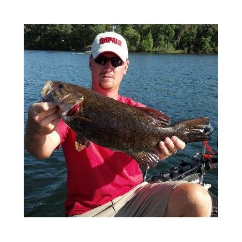 Rapala Leurres durs BX MINNOW - coloris FT - 7cm / 7g - profondeur de nage de 0.60 à 1.20m - 3