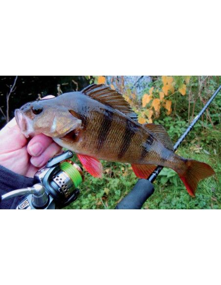 Rapala Leurres durs ORIGINAL FLOATER - coloris RTL - 9cm / 5g - profondeur de nage de 0.90 à 1.50m - 4