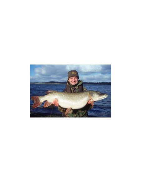 Rapala Leurres durs  COUNTDOWN MAGNUM - coloris HPU - 18cm / 70g - profondeur de nage de 5.40 à 6.30m - 3