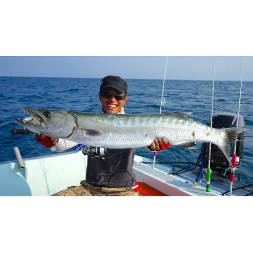 Storm Leurres durs SO-RUN HEAVY MINNOW - coloris ANC - 7.5cm / 15.5g - profondeur de nage : Variable - 3