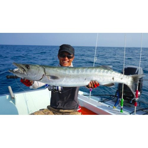 Storm Leurres durs SO-RUN HEAVY MINNOW - coloris NF - 7.5cm / 15.5g - profondeur de nage : Variable - 3