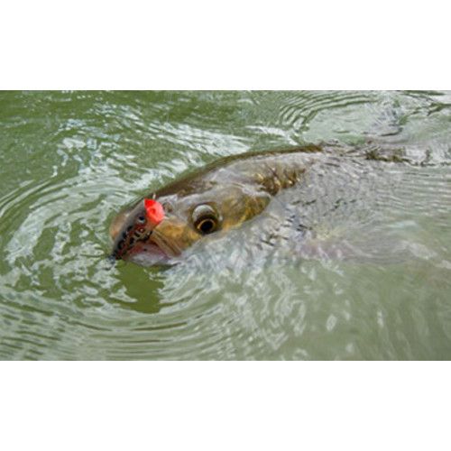 Rapala Leurres durs ULTRA LIGHT POP - Coloris GLTU - 4cm / 3g - profondeur de nage Surface - 4