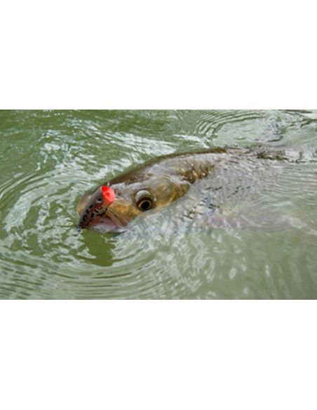 Rapala Leurres durs ULTRA LIGHT POP - Coloris GLTU - 4cm / 3g - profondeur de nage Surface - 4
