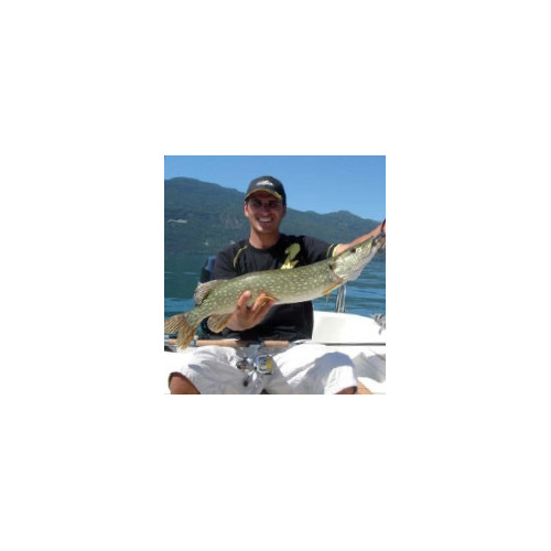 Rapala Jigs  JIGGING RAP - coloris GZBP - 7cm / 18g - profondeur de nage : Variable - 3