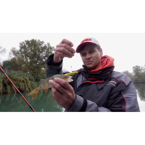 Rapala Jigs SNAP RAP - coloris - GYP - 6cm / 9g - profondeur de nage variable - 4