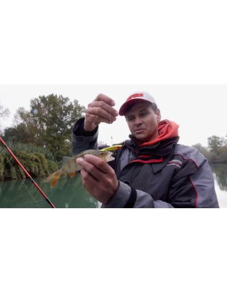 Rapala Jigs SNAP RAP - coloris - GYP - 6cm / 9g - profondeur de nage variable - 4