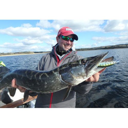 Rapala Leurres durs SHADOW RAP SHAD - coloris AS - 9cm / 12g - profondeur de nage de 0.90 à 1.20m - 4