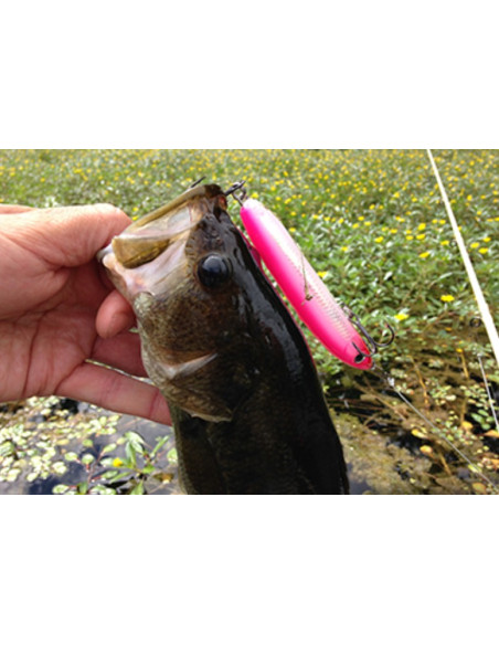 Rapala Leurres durs SKITTER V - coloris CH - 10cm / 14g - profondeur de nage surface - 3