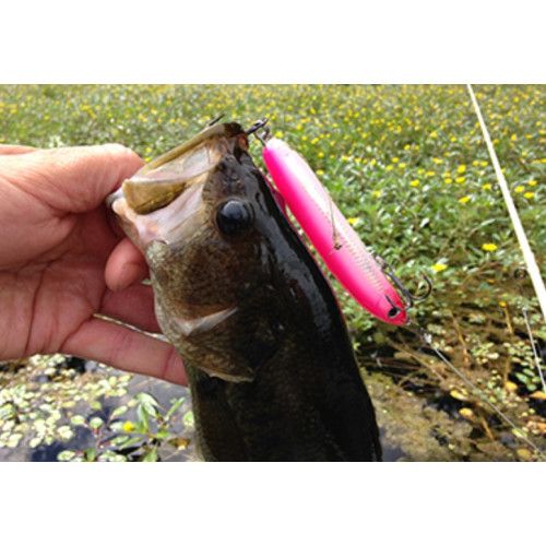 Rapala Leurres durs SKITTER V - coloris S - 10cm / 14g - profondeur de nage surface - 3
