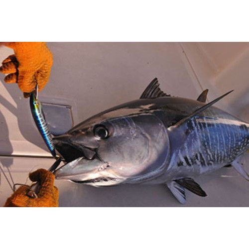 Rapala Leurres durs  HUSKY MAGNUM - coloris BSRD - 16cm / 67g - profondeur de nage 7.5m - 4