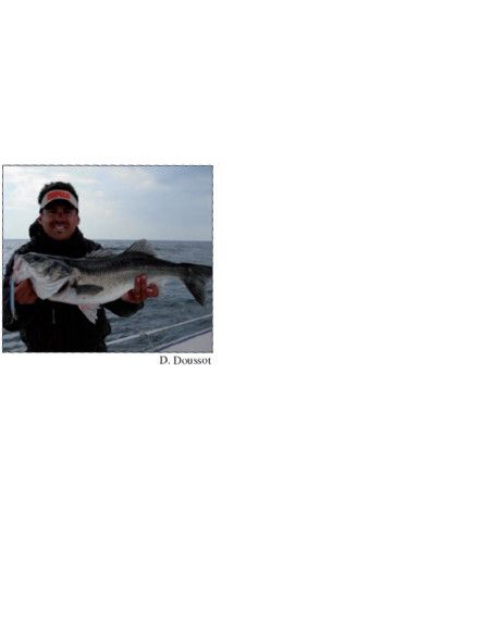 Rapala Leurres durs  MAXRAP - coloris AYUL - 15cm / 23g - profondeur de nage de 0.30 à 0.90m - 4